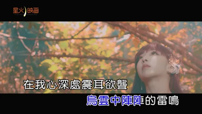 2018国语MV