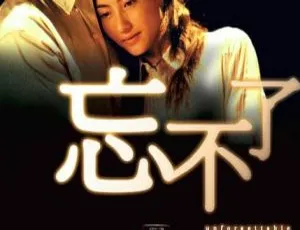 2003 香港 忘不了 国粤双语 MKV 1080P高清-蓝海网