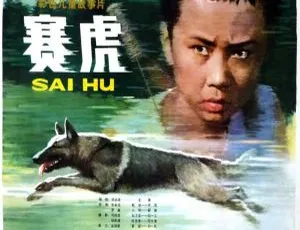 1982年大陆电影赛虎 国语中字版-蓝海网