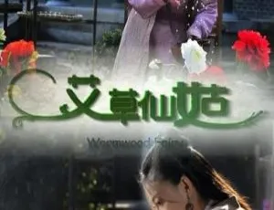 2013艾草仙姑国语中字高清版-蓝海网