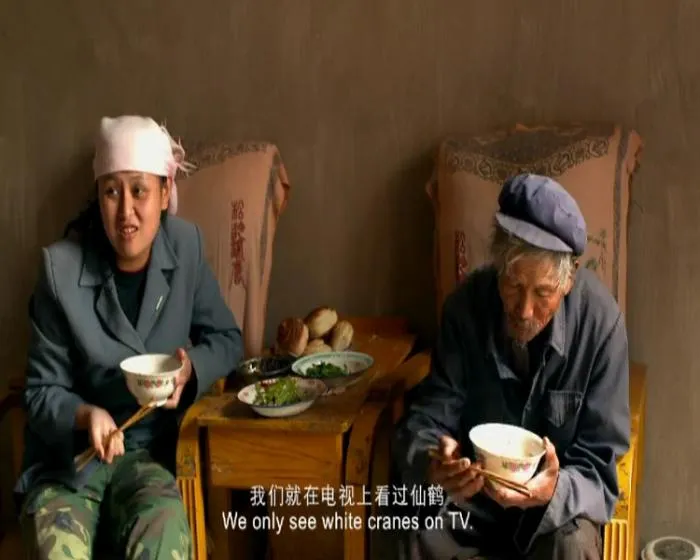 告诉他们，我乘白鹤去了