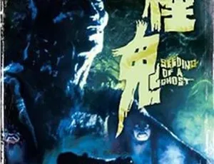 1983香港恐怖片种鬼 国语简繁英字幕 MKV高清