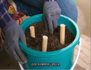 麦迪告诉你Maddies Do You Know 第三季全24集 1080P高清英语中字纪录片