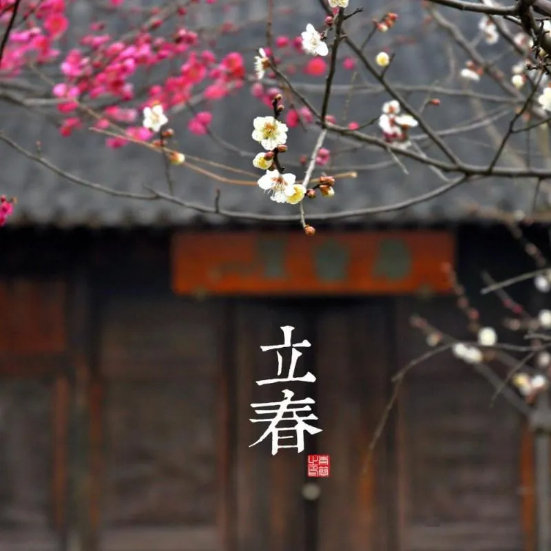 传统文化启蒙