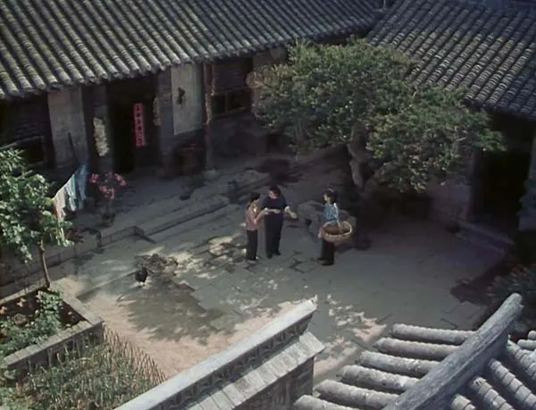 1982国产剧情片