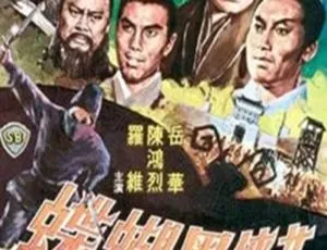 女侠黑蝴蝶 1968 香港武侠电影 国语中字 MKV版-蓝海网