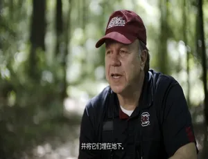 纪录片《到底是什么？What on Earth？》第三季全19集 1080P高清 英语中字 揭秘全球未解之谜