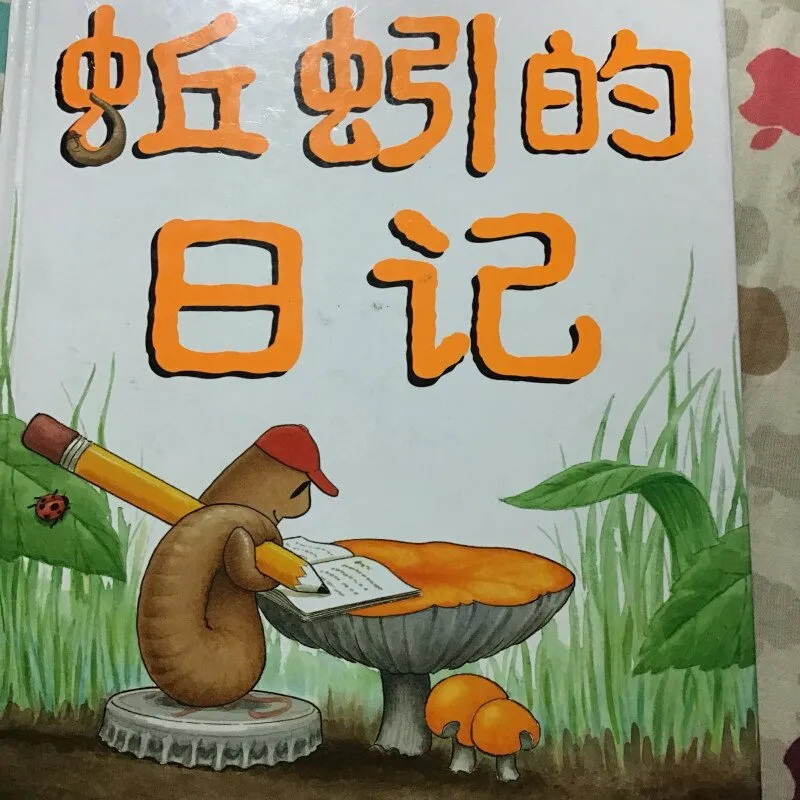 昆虫视角成长教育