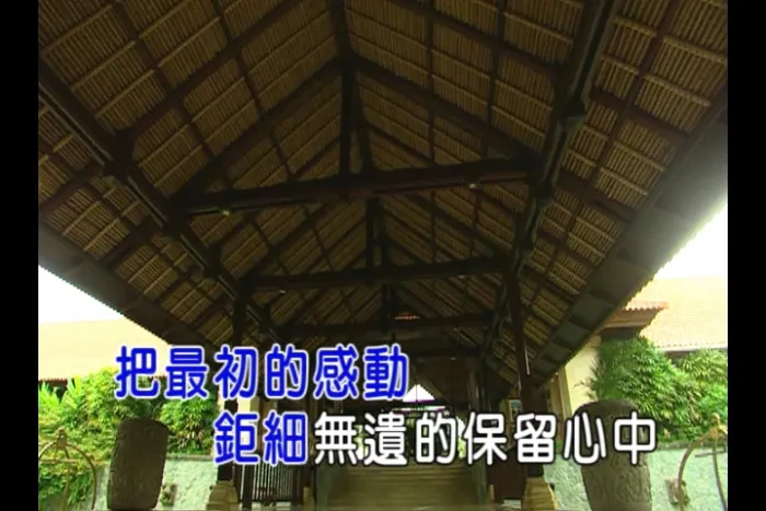 蔡健雅 停格 MV
