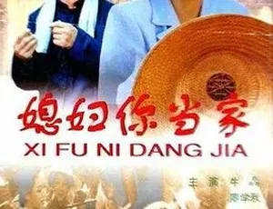媳妇你当家 1998家庭剧 普通话全1集