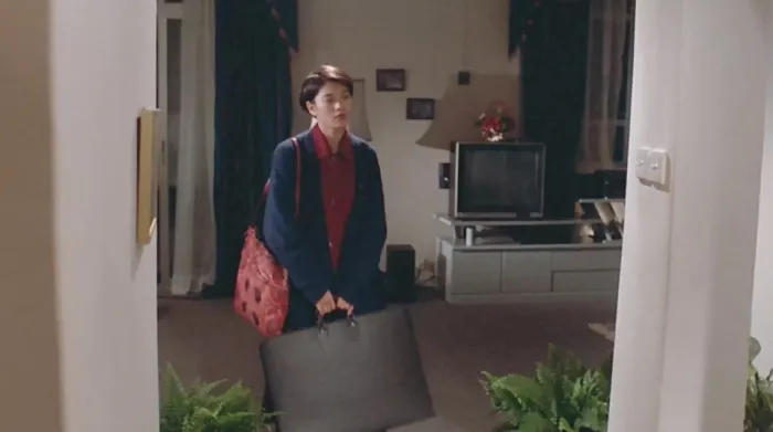 横纹刀劈扭纹柴 1995