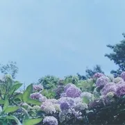 是枝裕和 家庭电影