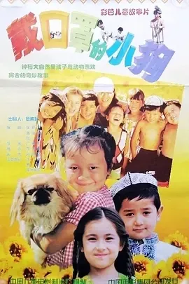 丝绸之路温情故事