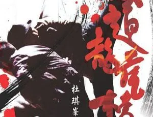 2004香港经典动作片柔道龙虎榜国粤双语中文字幕-蓝海网