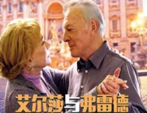 《艾尔莎和弗雷德》2014德国电影 国语中字版2017中国大陆动作电影 杀出重围 国语中字