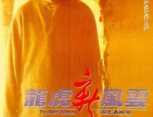 龙虎新风云 1994香港动作犯罪电影 国语中字 MKV高清版
