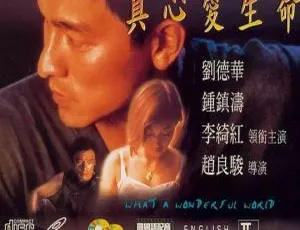 1996香港经典电影奇异旅程之真心爱生命 刘德华钟镇涛李绮虹主演 粤国双语中字