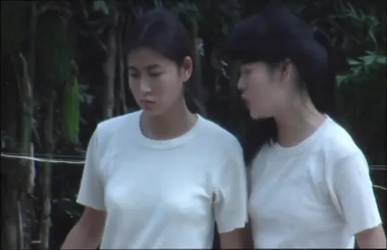 1993香港犯罪电影