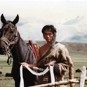 宁静 邵兵