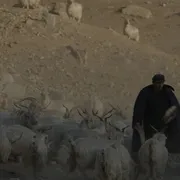 现实主义剧情片