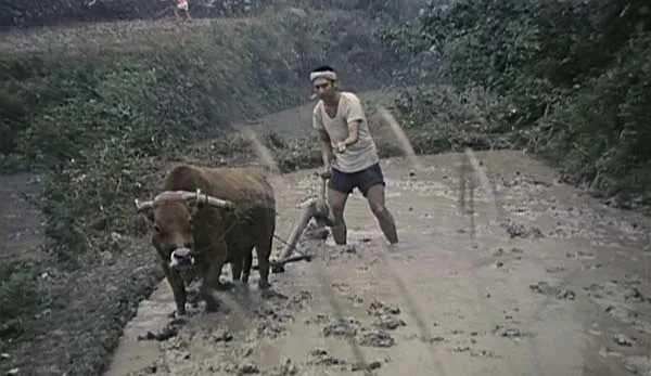 山村风月 1987