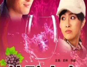 2010中国大陆佳酿之恋国语中字完整版