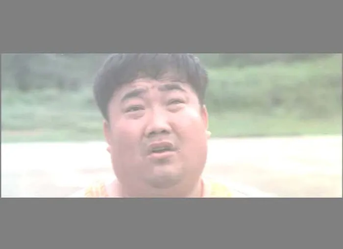 王菲 军阀喜剧