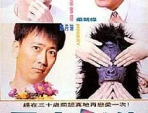 1993香港风尘三侠 梁家辉 梁朝伟 国粤双语中英字幕 MKV