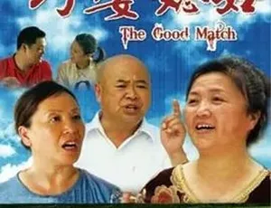 巧娶媳妇 2011 喜剧剧情片 国语高清完整版