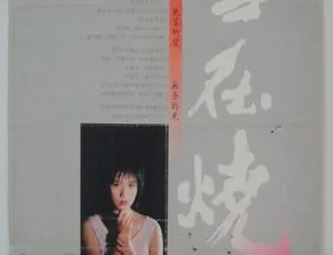 1988香港电影雪在烧国语中字DVDRip MKV高清版本-蓝海网