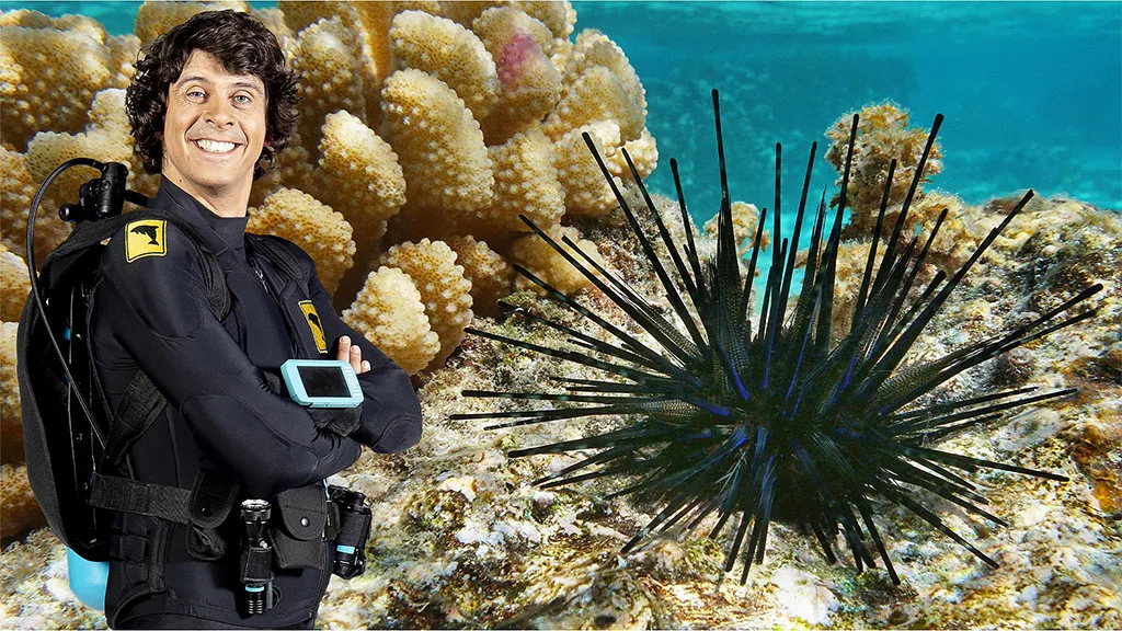 安迪的海底探险全2季