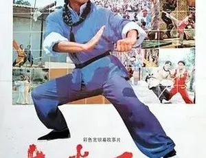 1984南拳王 经典动作片 国语高清完整版-蓝海网