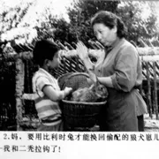 狼犬历险记1985