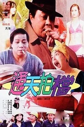 通天拍档国语版