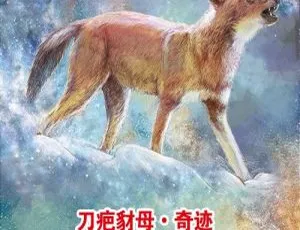 沈石溪动物小说经典有声书：刀疤豺母全32集免费收听-蓝海网
