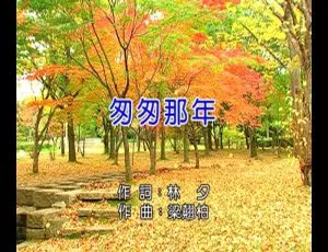 2014 王菲《匆匆那年》国语MV完整版 经典影视金曲珍藏AKB48 TEAM TP-TTP FESTIVAL 2019 国语 MV 内地现场版