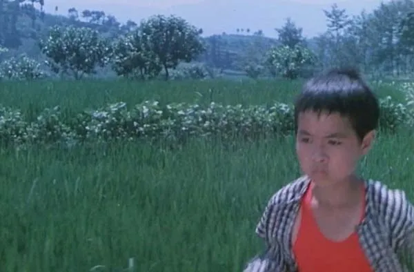 清亮的小溪1984