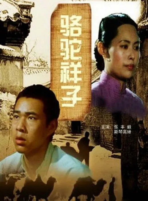 张丰毅斯琴高娃经典