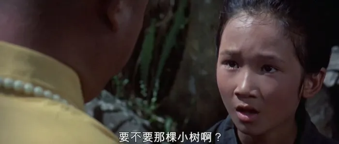 经典武侠电影