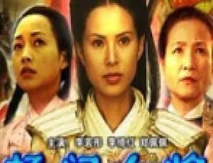 杨门女将大破天门阵 2004 中国战争电影 国语高清