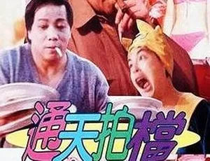 1988香港邵氏经典电影通天拍档国语中字720p MKV-蓝海网