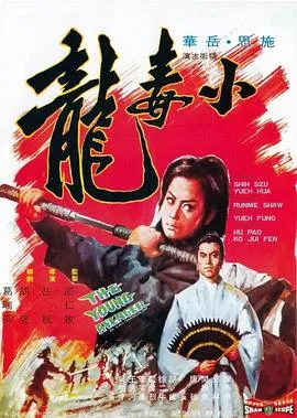 施思武侠电影