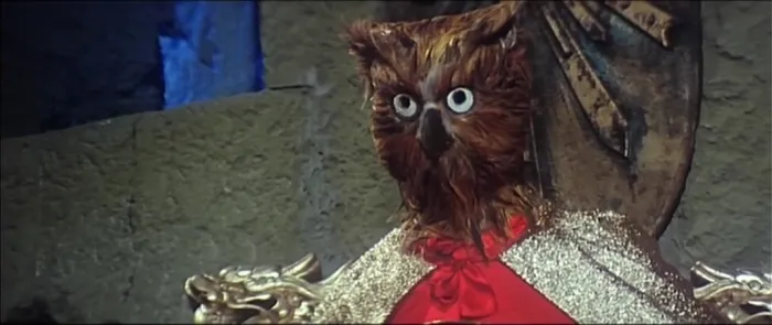 猫头鹰1981