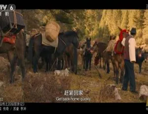 2017中国电影戎肯高清完整版免费观看-蓝海网