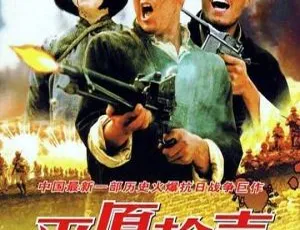平原枪声 2001年中国战争片 国语中字 MKV 1080P高清-蓝海网
