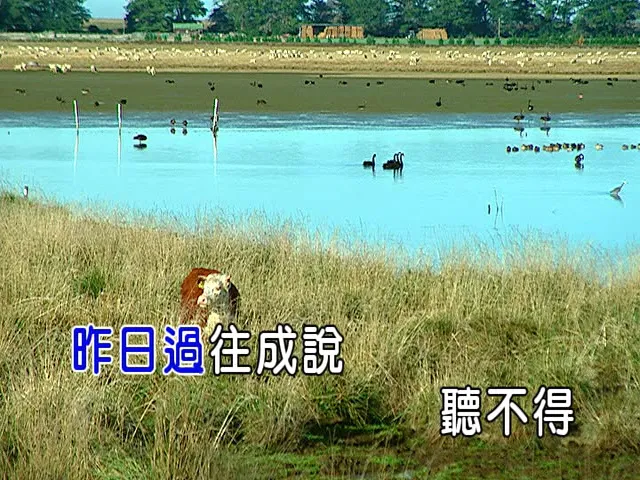 烈火如歌 原声带