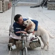 忠爱无言