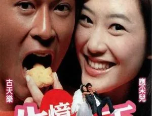 2003香港电影我的失忆男友 失忆界女王 国语中字 MKV高清-蓝海网
