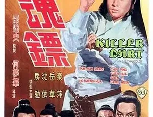 1968香港经典动作片追魂镖国语版AVI高清-蓝海网