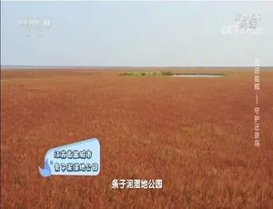 跟着书本去旅行 纪录片 2022年12月 19集 720P国语中字-蓝海网